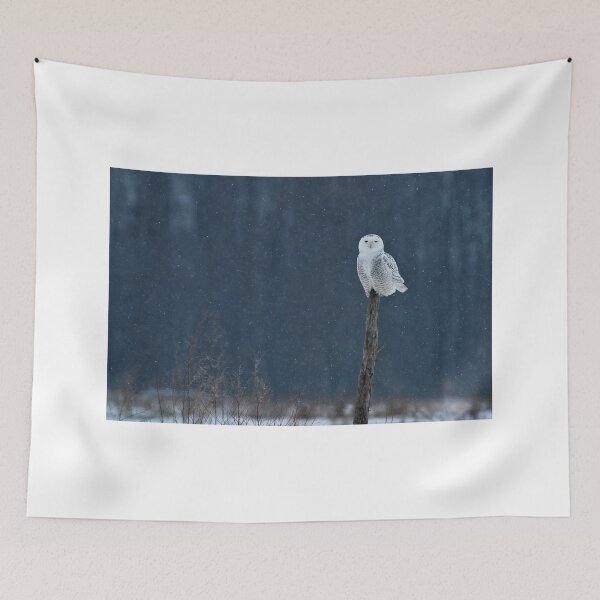 Item preview, Snowy Owy at Rest designed and sold by Raymond J Barlow.