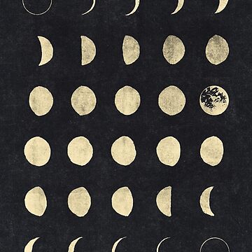 Artwork thumbnail, Moon Phases by wolfandbird