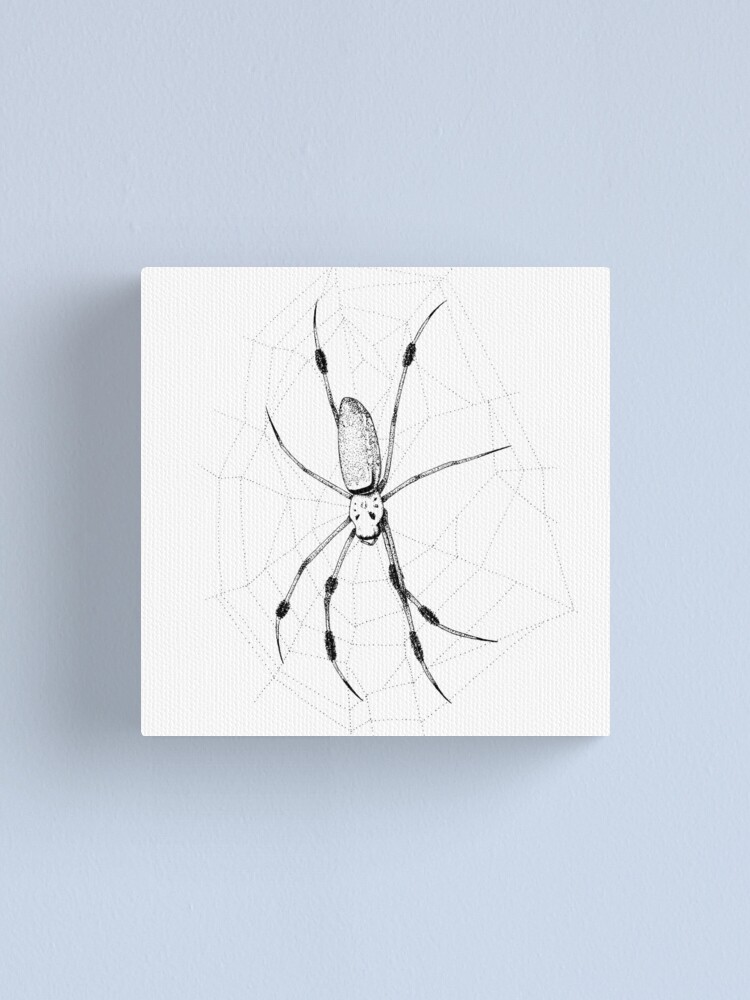 Nephila clavipes (Golden Silk orb weaver Spider)" Canvas Print for Sale by  NowtbutEllie | Redbubble