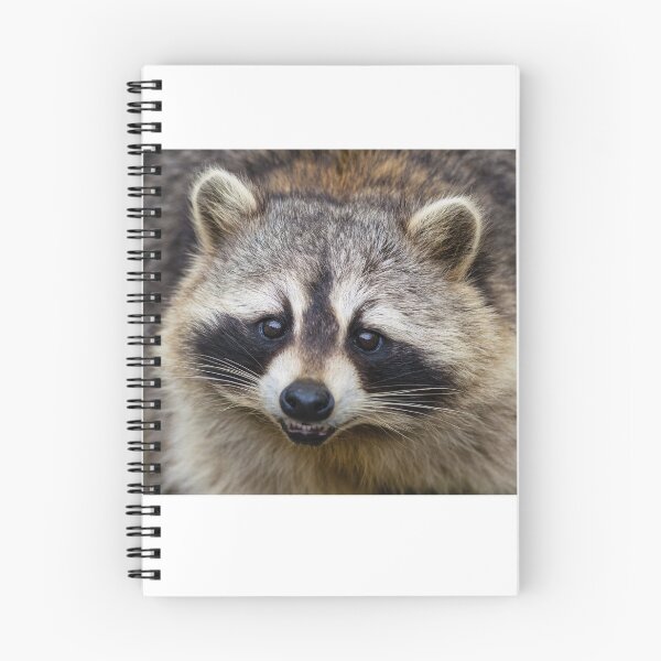 Item preview, Northern Raccoon designed and sold by Marco A. T. Antunes.