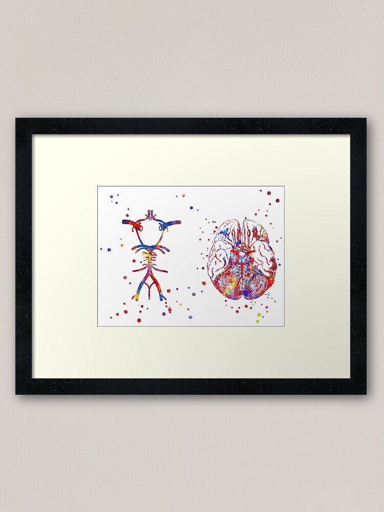 Alternate view of Circle Of Willis, brain anatomy, medical art, watercolor brain Framed Art Print