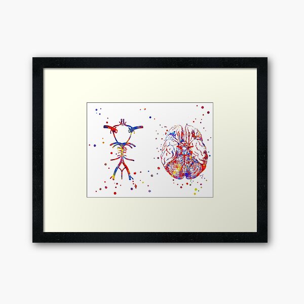 Item preview, Circle Of Willis, brain anatomy, medical art, watercolor brain designed and sold by Rosaliartbook.