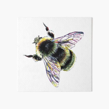 Beeswax Art Board Prints for Sale Redbubble