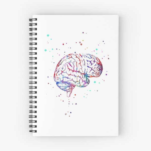 Item preview, Brain anatomy, medical art, watercolor Brain, Brain print designed and sold by Rosaliartbook.