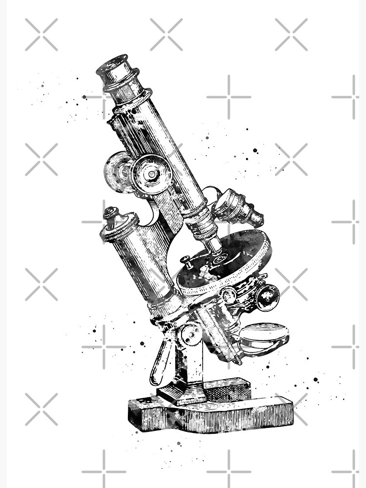 Vintage Compound Microscope Art Board Print for Sale by erzebetth