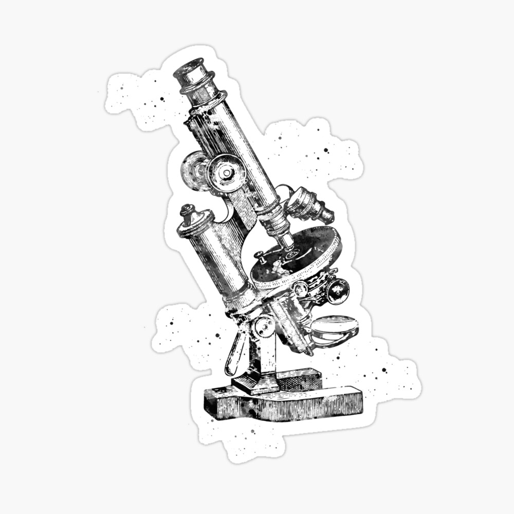 Compound Microscope Line Drawing Structure Stock Illustration 1878441151 |  Shutterstock
