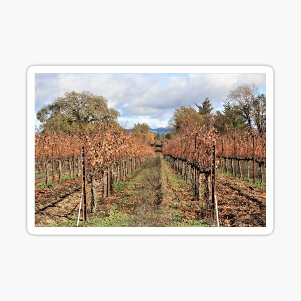 Item preview, A Dormant Autumn Vineyard designed and sold by Martha Sherman.