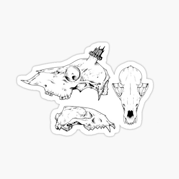 Item preview, British Wildlife skulls designed and sold by NowtbutEllie.
