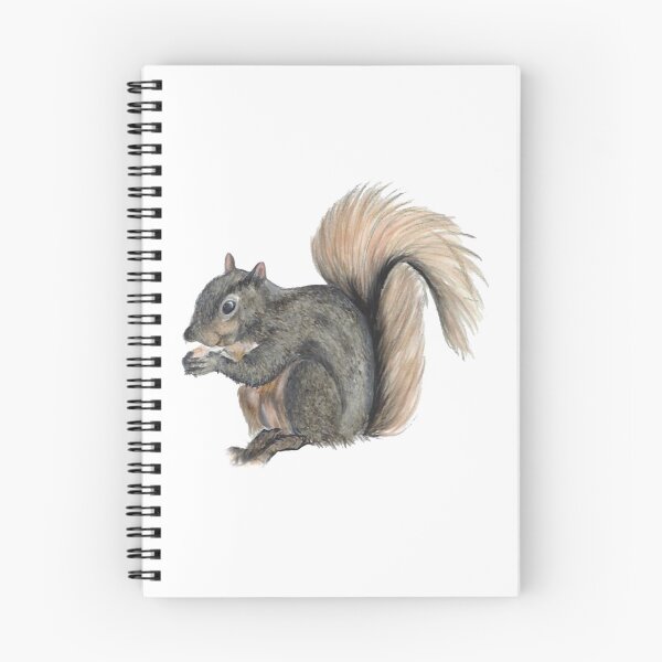 Item preview, Squirrel Colored Pencil and Marker Drawing by Art Vibes - BrittsArtVibes BrittanysArtVibes ArtVibes designed and sold by brittsartvibes.