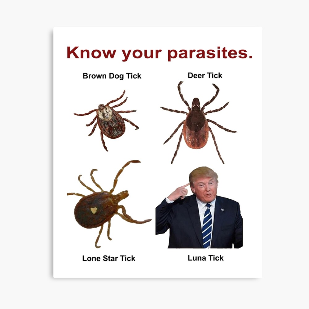 Know Your Parasites Novelty Trump  Poster