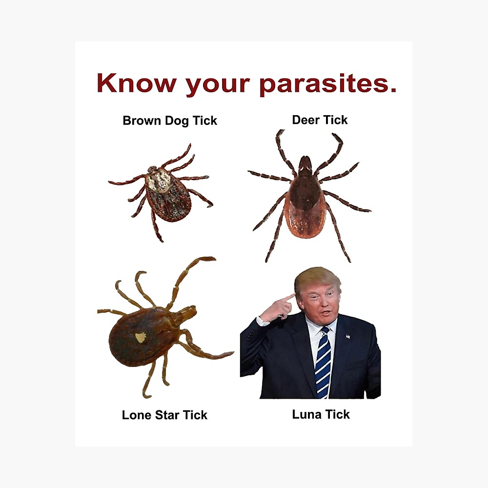 Know Your Parasites Novelty Trump  Poster