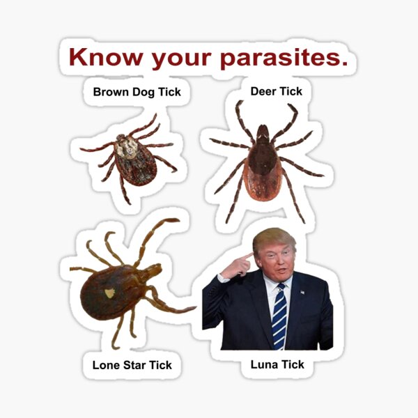Know Your Parasites Novelty Trump Sticker