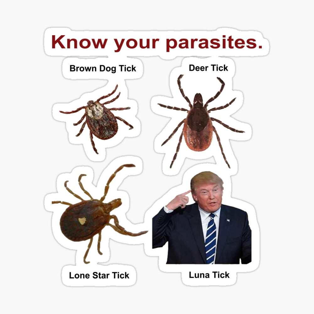 Know Your Parasites Novelty Trump  Poster