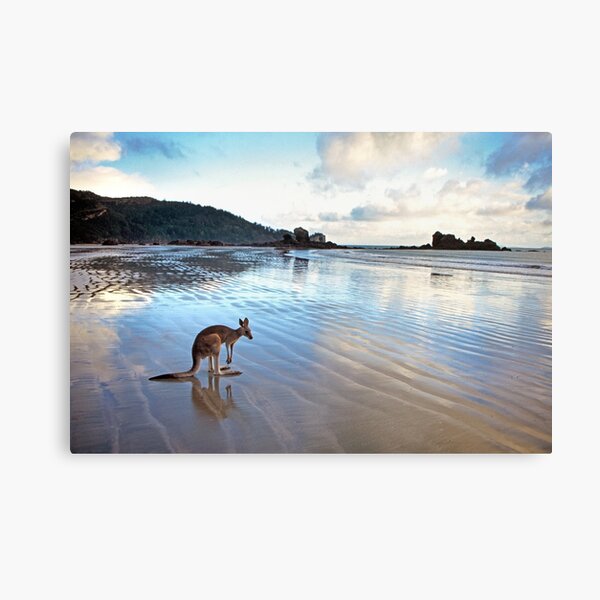 Item preview, Kangaroo, Cape Hillsborough, Queensland designed and sold by Andrew Goodall.