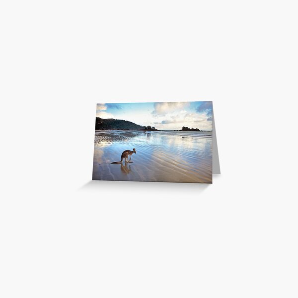 Item preview, Kangaroo, Cape Hillsborough, Queensland designed and sold by Andrew Goodall.