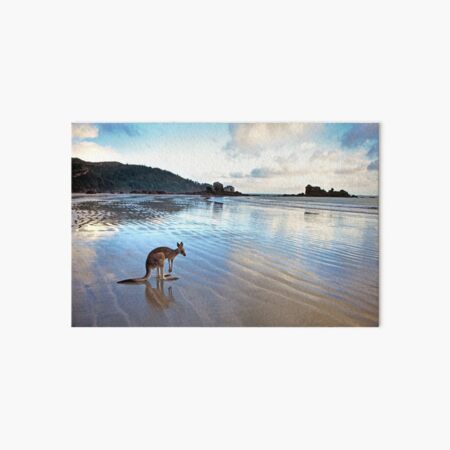 Item preview, Kangaroo, Cape Hillsborough, Queensland designed and sold by Andrew Goodall.