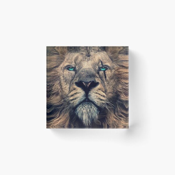 Item preview, King of Judah designed and sold by LAZY  J.