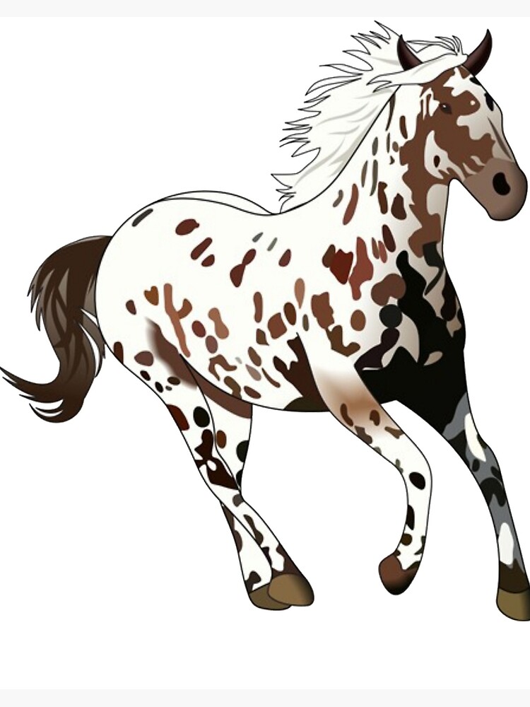 Appaloosa Horse Digital Download Print | Horse Photography | Horse Lover  Gift Ideas | Western Home Decor