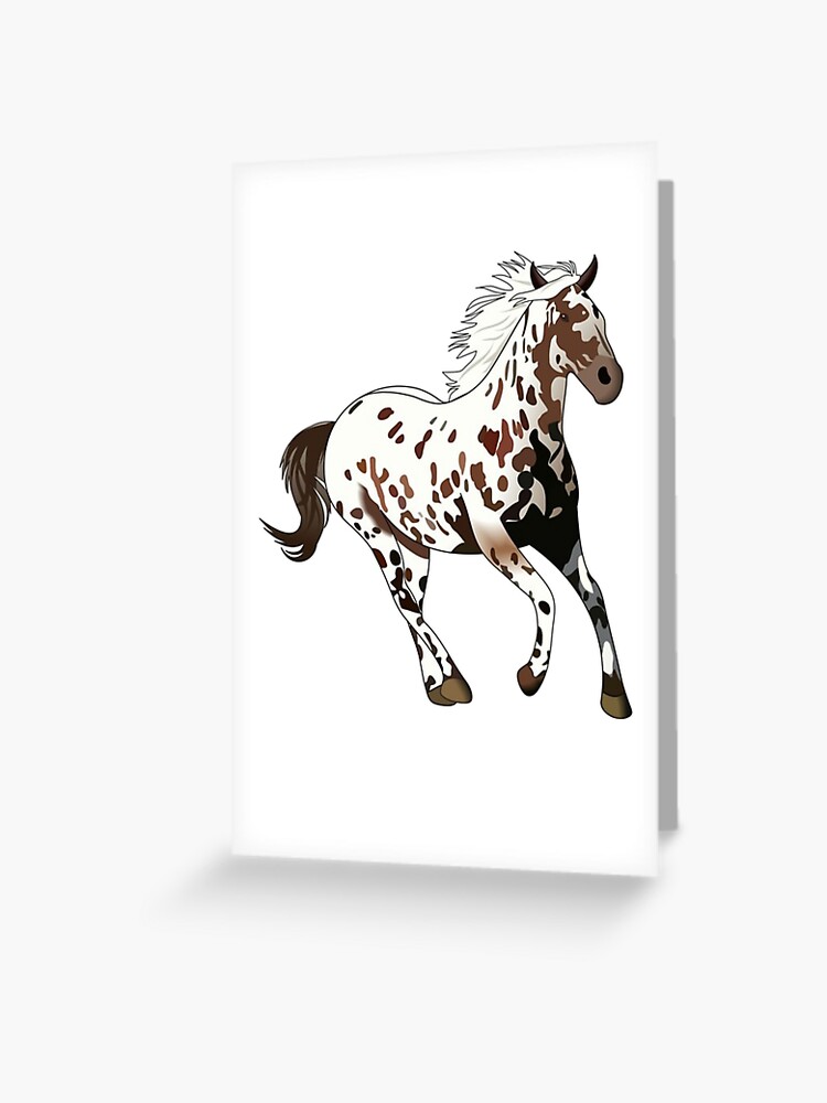 Appaloosa Horse Digital Download Print | Horse Photography | Horse Lover  Gift Ideas | Western Home Decor