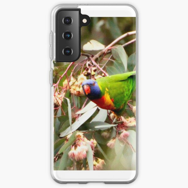 Rainbow Lorikeet - Macedon Samsung Galaxy Soft Case