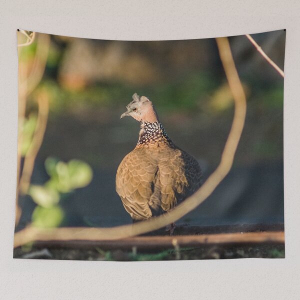 Item preview, Spotted dove designed and sold by KensLensDesigns.