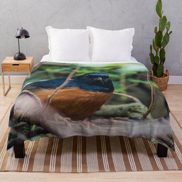 Item preview, White-rumped shama designed and sold by KensLensDesigns.