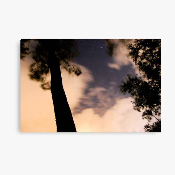 windy tree 2 Canvas Print