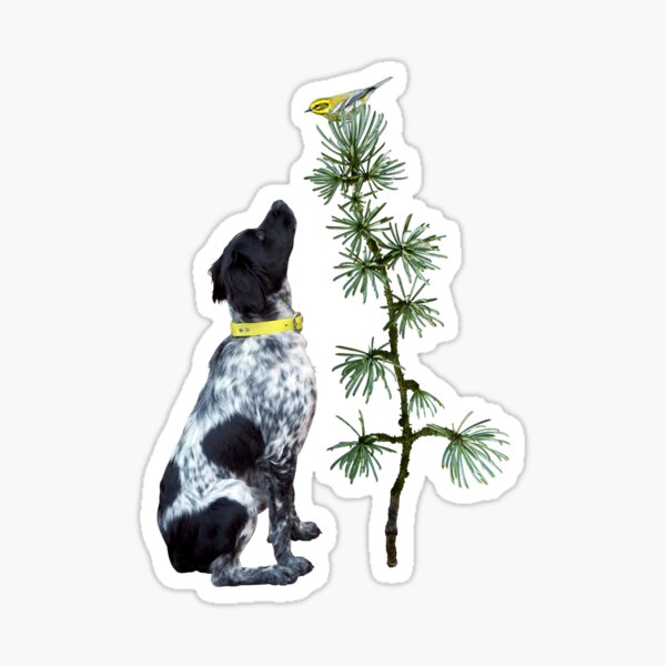 Dog Yellow Bird Sticker