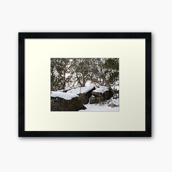 Snow Gums Framed Art Print