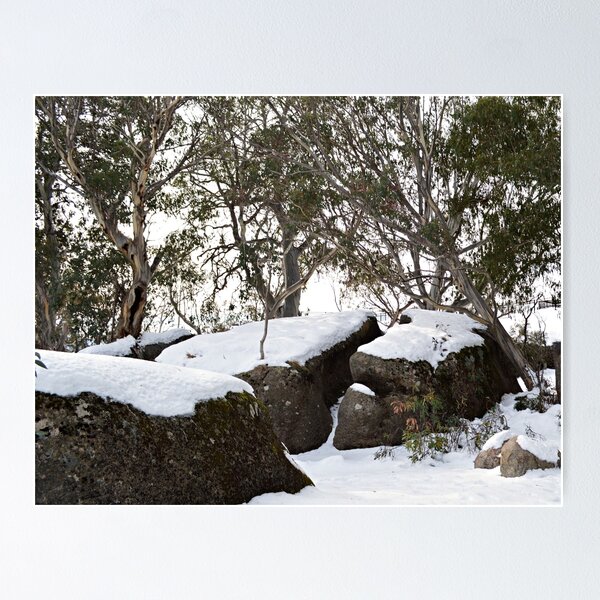 Item preview, Snow Gums designed and sold by Kerry LeBoutillier.