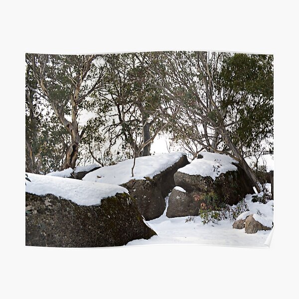 Snow Gums Poster