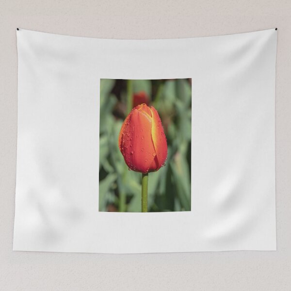 Item preview, Red Tulip - Bud designed and sold by DPalmer.