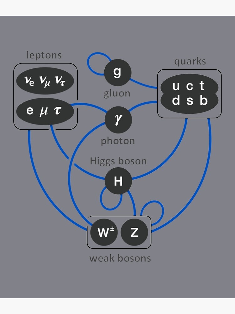 Disover Standard Model Particles Higgs Boson Physics Theory Premium Matte Vertical Poster