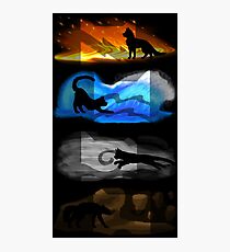 Warrior Cats: Four Elements, Four Clans Photographic Print