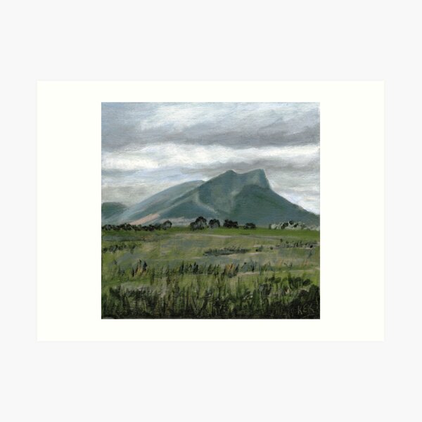Winter Day, Rural Victoria, Australia Art Print