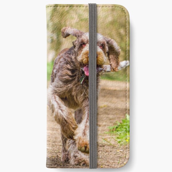 Brown Roan Italian Spinone Dog in Action iPhone Wallet