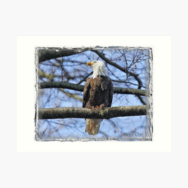 Pretty Eagle Art Print