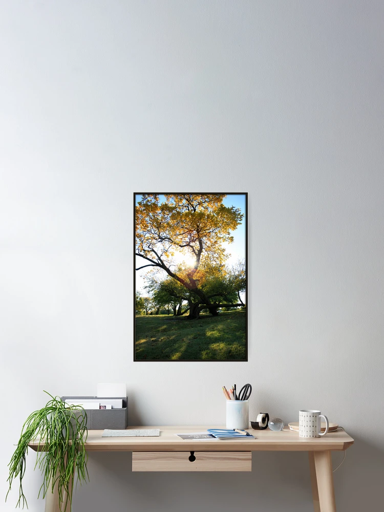 Thumbnail 2 of 3, Poster, Deciduous designed and sold by Rdestruction.