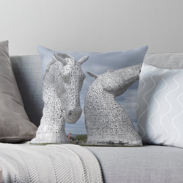 Throw Pillow