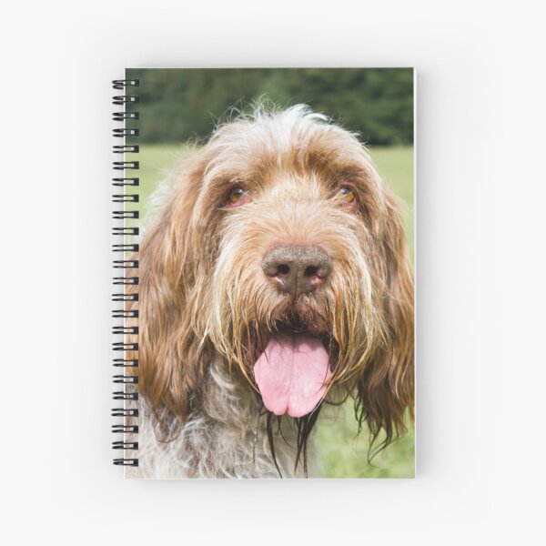 Brown Roan Italian Spinone Dog Head Shot Spiral Notebook