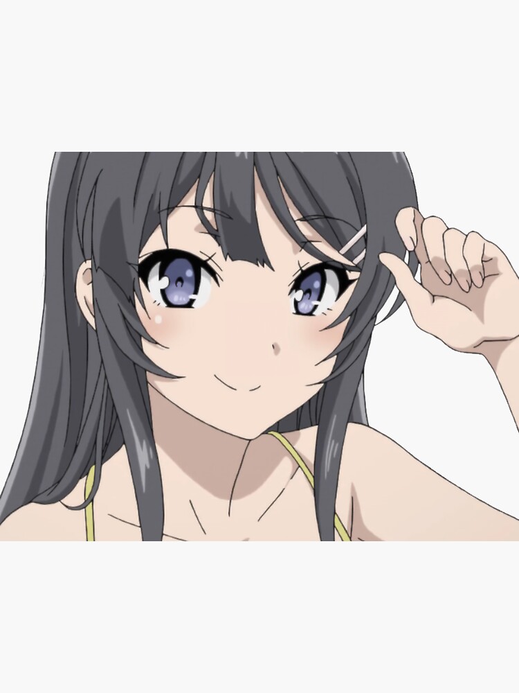 Rascal Does Not Dream Of Bunny Girl Senpai Mai