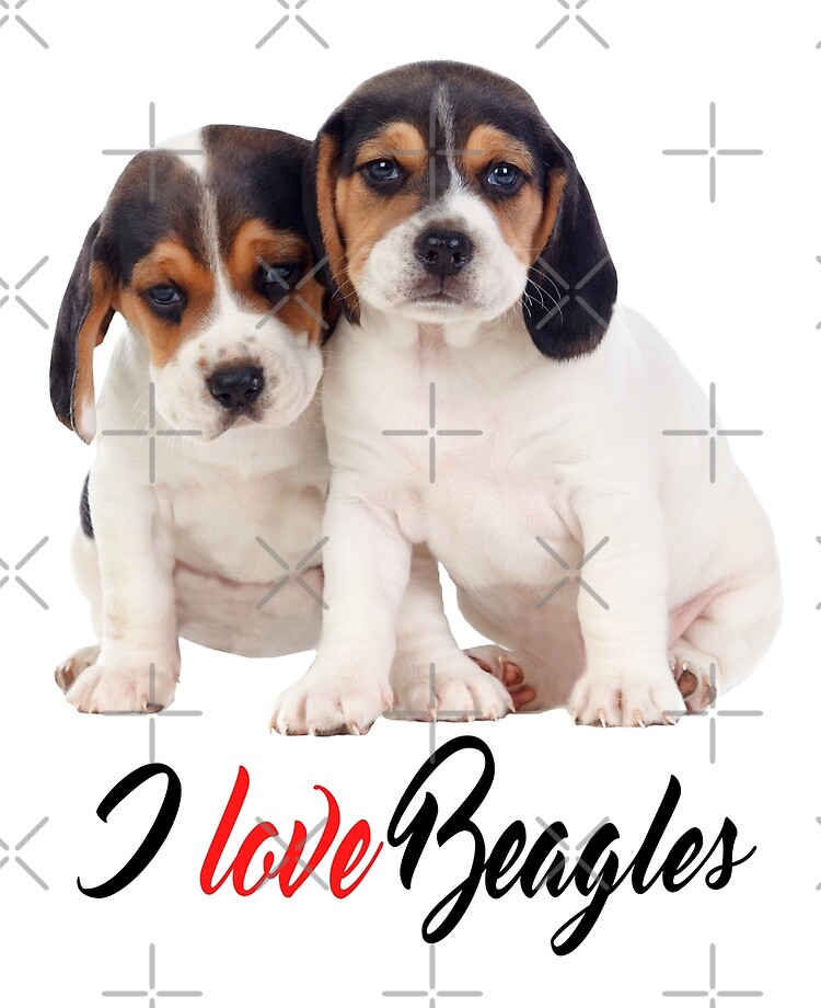 I Love Beagles Beagle Puppies Photo 