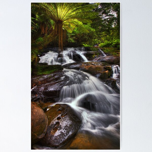 Item preview, Triplet Falls - Otways N.P. designed and sold by Mark Shean.