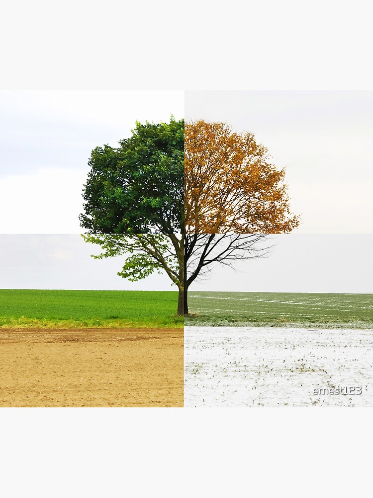 Four Seasons by ernest123