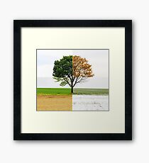 Four Seasons Framed Print