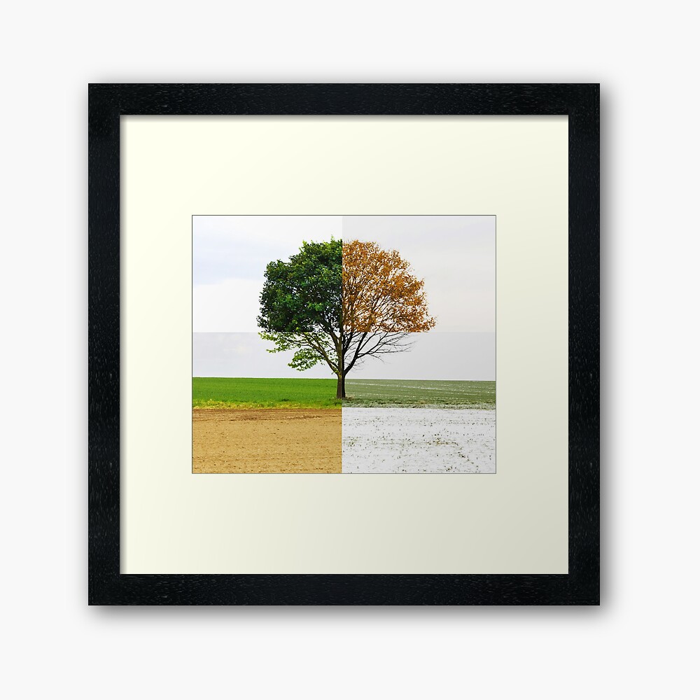 Four Seasons Framed Art Print
