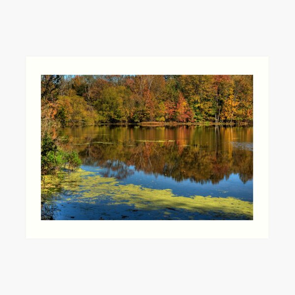 Refuge Reflection Art Print
