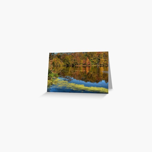 Refuge Reflection Greeting Card