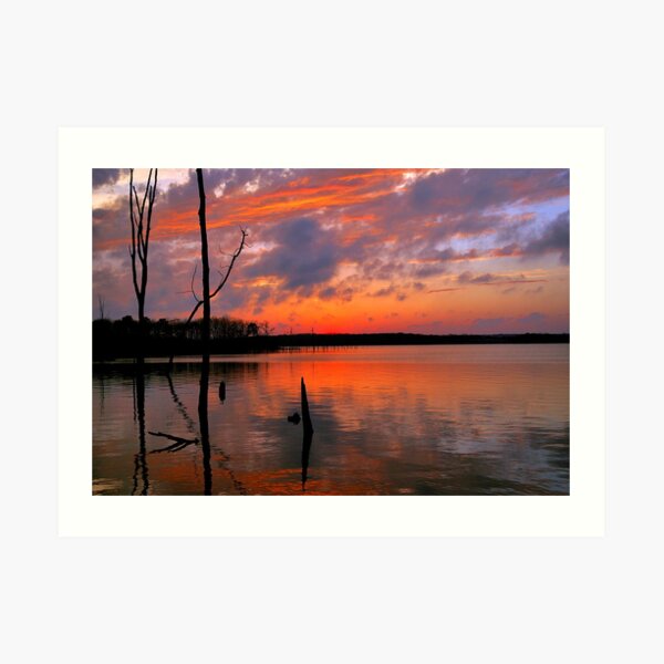Reflection of Color Art Print