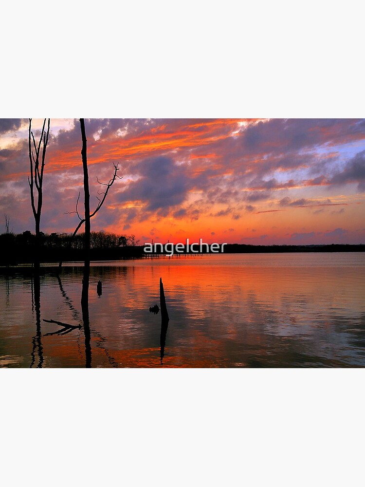 Reflection of Color by angelcher